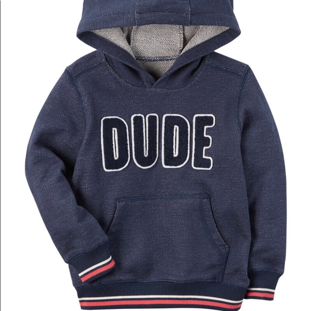 Toddler Boy Carter’s Dude Hoodie Sweatshirt 3t
